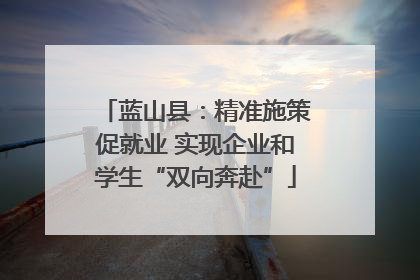 蓝山县：精准施策促就业 实现企业和学生“双向奔赴”