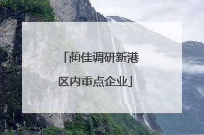 蔺佳调研新港区内重点企业