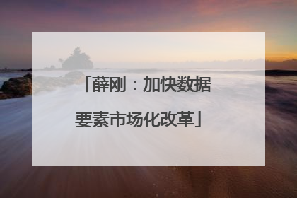 薛刚：加快数据要素市场化改革
