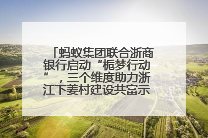 蚂蚁集团联合浙商银行启动“栀梦行动”，三个维度助力浙江下姜村建设共富示范区示范点