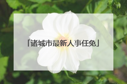 诸城市最新人事任免