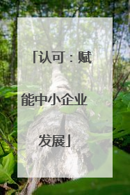 认可：赋能中小企业发展