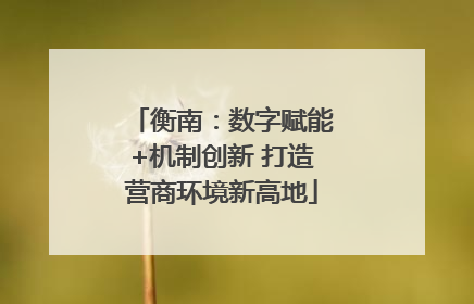 衡南：数字赋能+机制创新 打造营商环境新高地