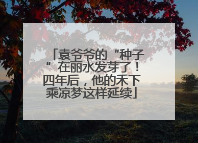 袁爷爷的“种子”在丽水发芽了！四年后，他的禾下乘凉梦这样延续