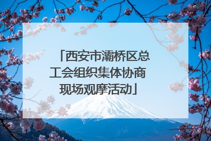 西安市灞桥区总工会组织集体协商现场观摩活动