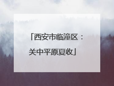 西安市临潼区：关中平原夏收