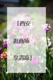 西安：逛商场 享清凉