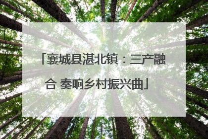 襄城县湛北镇：三产融合 奏响乡村振兴曲