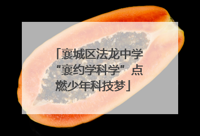 襄城区法龙中学“襄约学科学”点燃少年科技梦