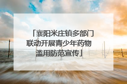 襄阳米庄镇多部门联动开展青少年药物滥用防范宣传