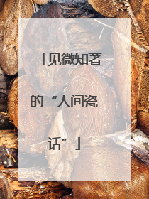 见微知著的“人间瓷话”
