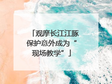观摩长江江豚保护意外成为“现场教学”