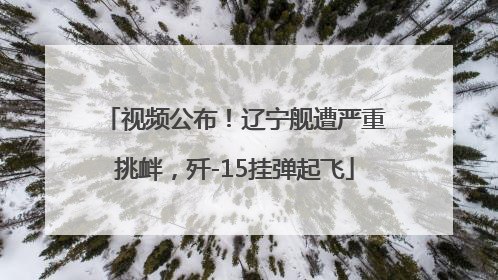 视频公布！辽宁舰遭严重挑衅，歼-15挂弹起飞