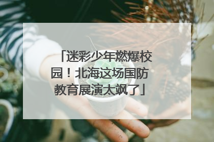 迷彩少年燃爆校园！北海这场国防教育展演太飒了