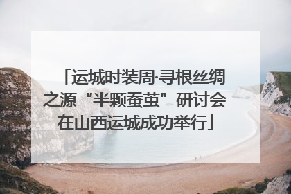 运城时装周·寻根丝绸之源“半颗蚕茧”研讨会在山西运城成功举行