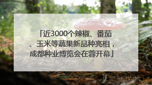 近3000个辣椒、番茄、玉米等蔬果新品种亮相，成都种业博览会在蓉开幕
