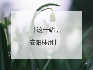 这一站，安阳林州
