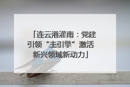 连云港灌南：党建引领“主引擎”激活新兴领域新动力