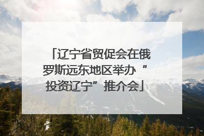 辽宁省贸促会在俄罗斯远东地区举办“投资辽宁”推介会