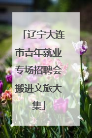 辽宁大连市青年就业专场招聘会搬进文旅大集