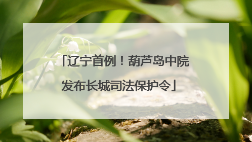 辽宁首例！葫芦岛中院发布长城司法保护令