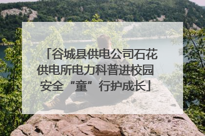 谷城县供电公司石花供电所电力科普进校园安全“童”行护成长