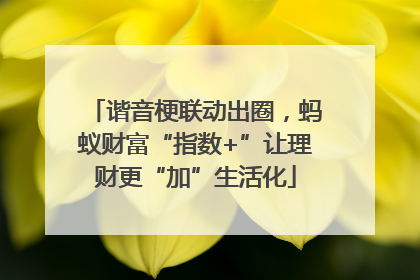 谐音梗联动出圈，蚂蚁财富“指数+”让理财更“加”生活化