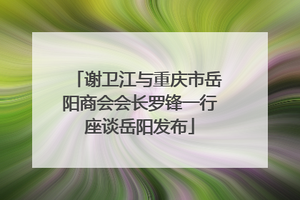 谢卫江与重庆市岳阳商会会长罗锋一行座谈岳阳发布