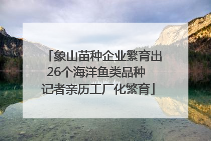 象山苗种企业繁育出26个海洋鱼类品种 记者亲历工厂化繁育