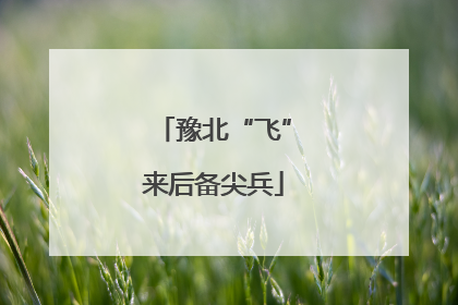 豫北“飞”来后备尖兵