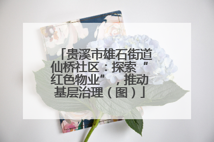 贵溪市雄石街道仙桥社区：探索“红色物业”，推动基层治理（图）