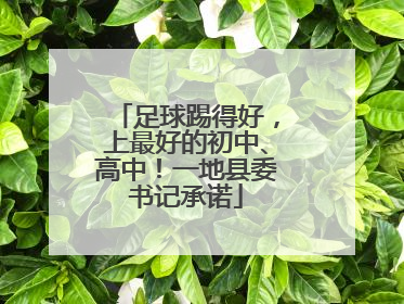 足球踢得好，上最好的初中、高中！一地县委书记承诺