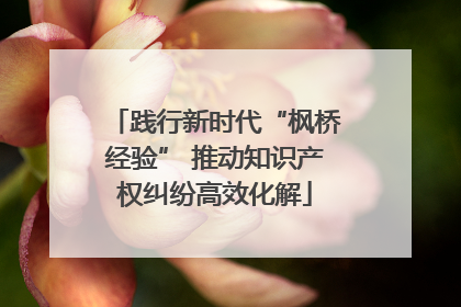 践行新时代“枫桥经验” 推动知识产权纠纷高效化解