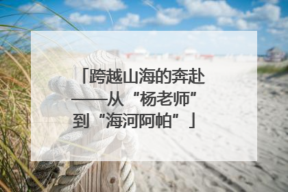 跨越山海的奔赴——从“杨老师”到“海河阿帕”