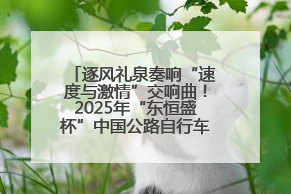 逐风礼泉奏响“速度与激情”交响曲！2025年“东恒盛杯”中国公路自行车联赛第五站（陕西·礼泉站）正式开赛