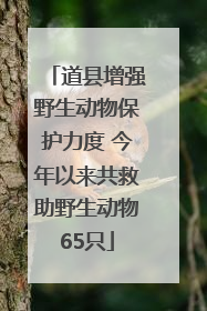 道县增强野生动物保护力度 今年以来共救助野生动物65只
