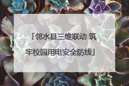 邻水县三维联动 筑牢校园用电安全防线
