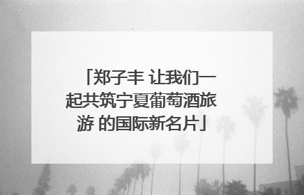郑子丰 让我们一起共筑宁夏葡萄酒旅游 的国际新名片