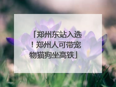 郑州东站入选！郑州人可带宠物猫狗坐高铁