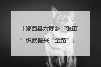 郧西县六郎乡“银茧”织就振兴“金路”
