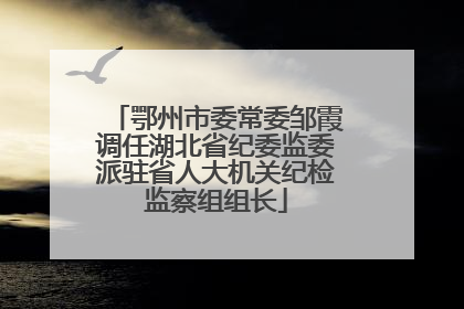 鄂州市委常委邹霞调任湖北省纪委监委派驻省人大机关纪检监察组组长