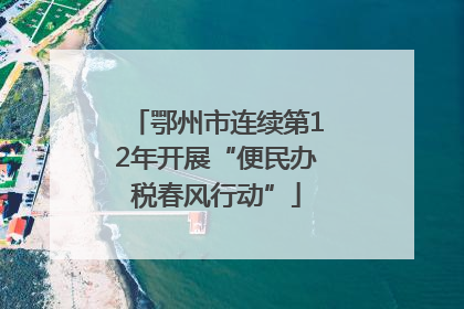 鄂州市连续第12年开展“便民办税春风行动”