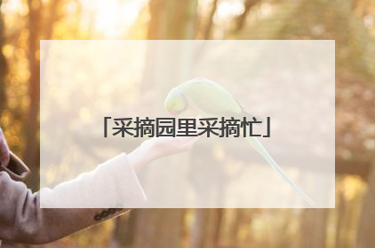 采摘园里采摘忙