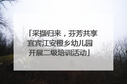 采撷归来，芬芳共享 宜宾江安橙乡幼儿园开展二级培训活动