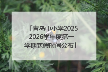 青岛中小学2025-2026学年度第一学期寒假时间公布