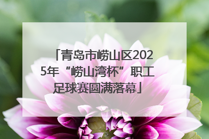 青岛市崂山区2025年“崂山湾杯”职工足球赛圆满落幕