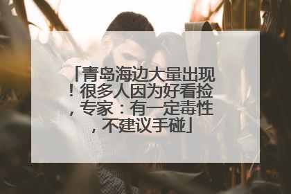 青岛海边大量出现！很多人因为好看捡，专家：有一定毒性，不建议手碰