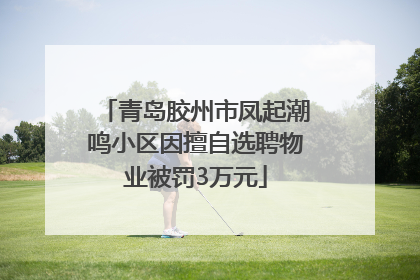 青岛胶州市凤起潮鸣小区因擅自选聘物业被罚3万元