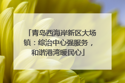 青岛西海岸新区大场镇：综治中心强服务，和谐港湾暖民心
