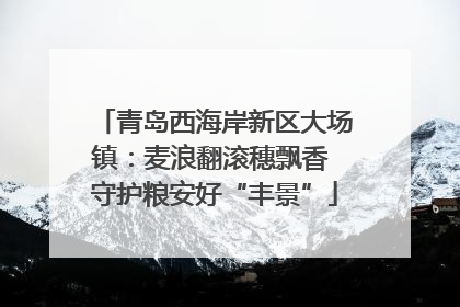 青岛西海岸新区大场镇：麦浪翻滚穗飘香 守护粮安好“丰景”